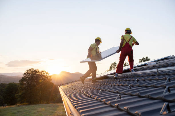 Best Roof Moss and Algae Removal  in Byesville, OH